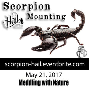 Scorpion Mounting Workshop
