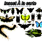 Insect-cut Insect-cut