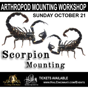 SCORPION MOUNTING WORKSHOP