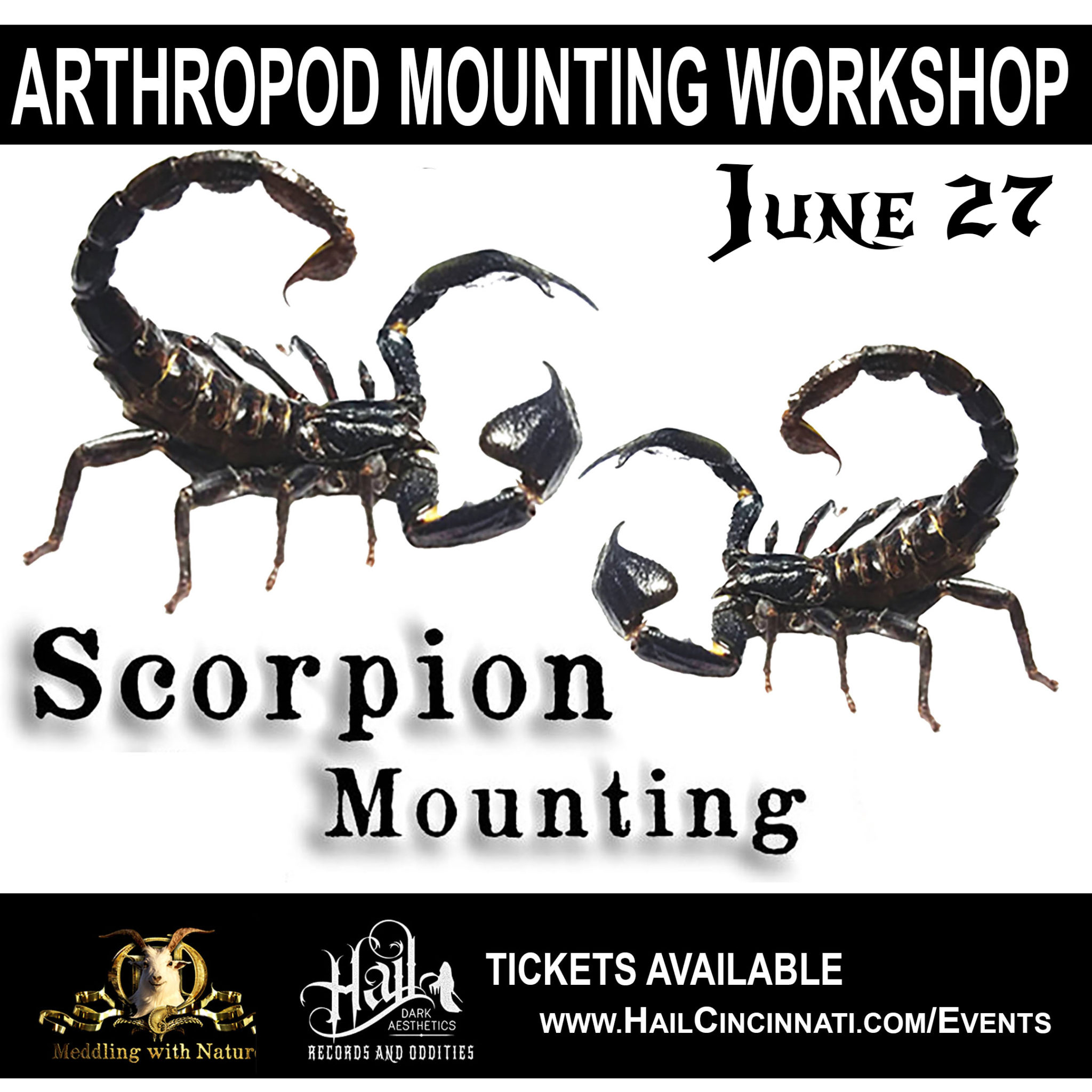 June 27, 2019 – Scorpion Mounting