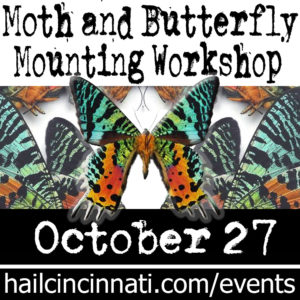 Butterfly Pinning and Mounting