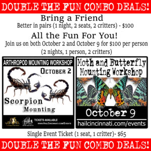Double The Fun Combo Deals