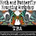 Butterfly Mounting Workshop_tba Butterfly Mounting Workshop_tba