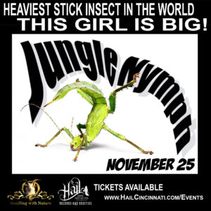 square_jungle NOVEMBER 25 square_jungle NOVEMBER 25
